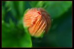 IMG_6708ab