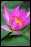 IMG_6739ab
