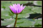 IMG_6742ab