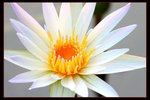 IMG_6749ab