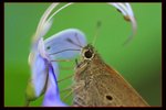 IMG_6792ab