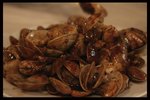 IMG_6913ab