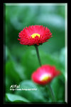 IMG_3624abc