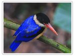 IMG_3802abc
