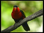 IMG_4665ab