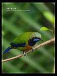 IMG_4680ab