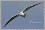 IMG_6644ab