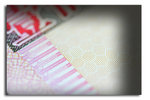 IMG_4235ab