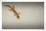 IMG_8084a640b
