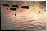 IMG_8620a