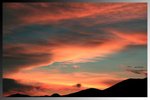 IMG_8667a