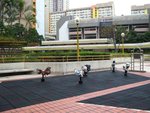 IMG_1774 (Large)