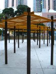 IMG_1782 (Large)