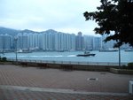IMG_1787 (Large)