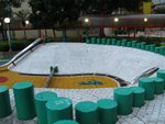 IMG_1800 (Large)
