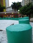 IMG_1802 (Large)