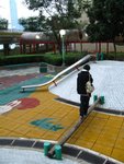 IMG_1804 (Large)