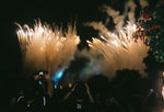 Firework@DisneyLand