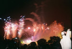 Firework@DisneyLand