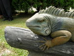 P7200208