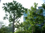 cyberport170807_8