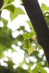2009_03_22_046