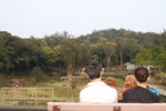 2008_03_08_BON_758
