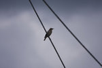 2008_05_25_0469