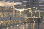 2008_04_19_BON_733