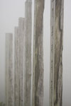 2008_04_20_BON_859
