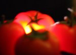 tomato1