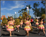 IMG_0440 copy