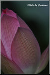 025