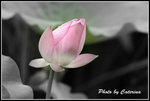027