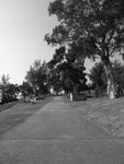 R0011636 (Small)