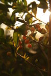 IMG_6178