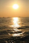 IMG_6217