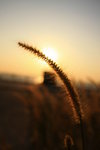 IMG_6220