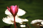 IMG_6362