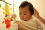 IMG_6955