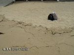Cheung Chou 015
