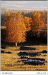 MD-image191