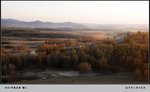 MD-image219