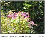 DSC00032