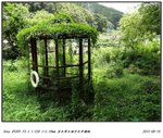 DSC00062