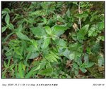 DSC00064
