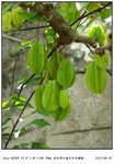 DSC00071