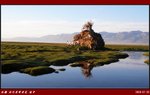 往 巴音布魯克 天鵝湖