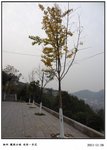 DSC07517