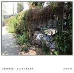DSC04551